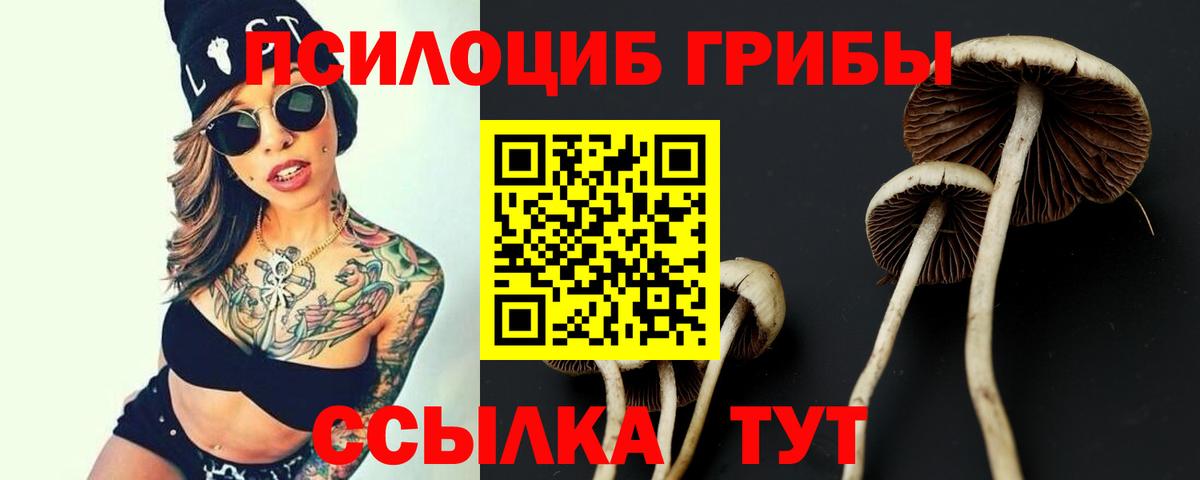 Псилоцибиновые грибы мухоморы  Вход с VPN  купить   Ачхой-Мартан 